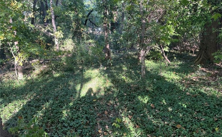 Pictures of Land, Multifamily property located at 5828 NE Barnes Avenue, Kansas City, MO 64119 for sales - image #1