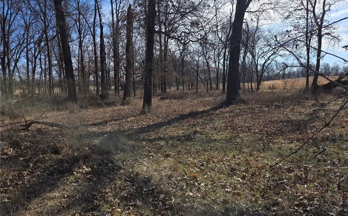 Pictures of Land, Multifamily property located at Tract B NW County Rd 17402 N/A, Archie, MO 64725 for sales - image #1