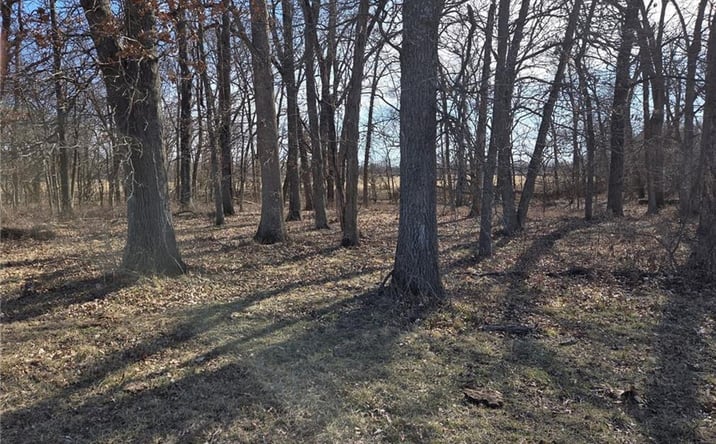 Pictures of Land, Multifamily property located at Tract A NW County Road 17402 N/A, Archie, MO 64725 for sales - image #1