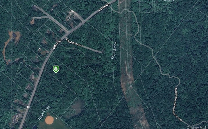 Pictures of Land, Multifamily property located at 1181 Lakes Road, Monroe, NY 10950 for sales - image #1