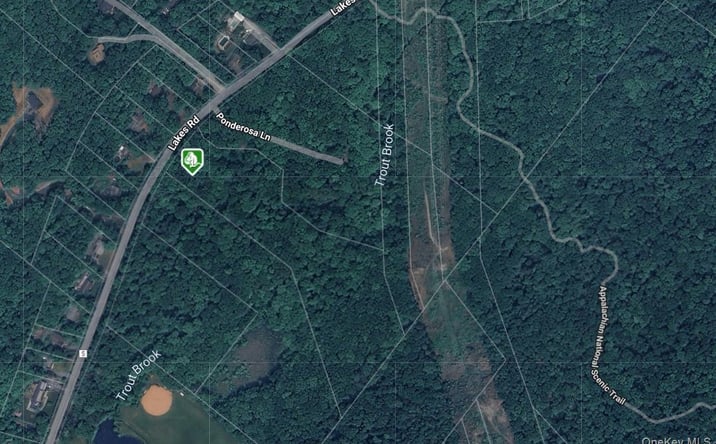 Pictures of Land, Multifamily property located at 1171 Lakes Road, Monroe, NY 10950 for sales - image #1