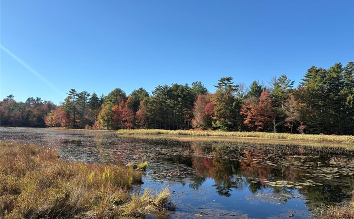 Pictures of Land, Multifamily property located at Lot 4 Deer Meadow Road, Bethel, NY 12786 for sales - image #1