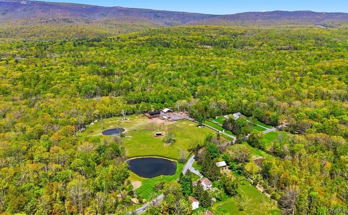 Pictures of Mixed Use, Land, Industrial property located at 51 Redder Road, Shawangunk, NY 12566 for sales - image #1