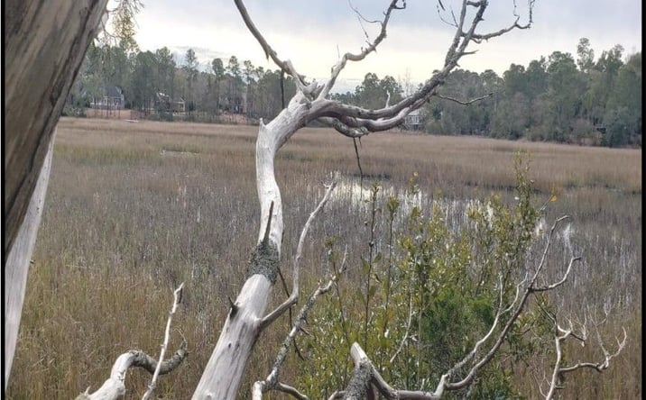 Pictures of Land property located at Pandion Dr, Wilmington, NC 28411 for sales - image #1