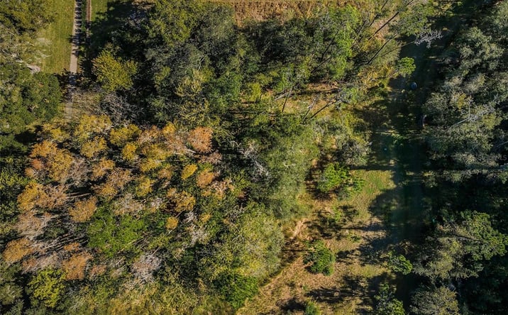 Pictures of Land property located at Lansbrook Pkwy, Palm Harbor, FL 34685 for sales - image #1