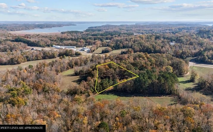 Pictures of Land, Multifamily property located at 12225 Off Highway 79 N, Buchanan, TN 38222 for sales - image #1