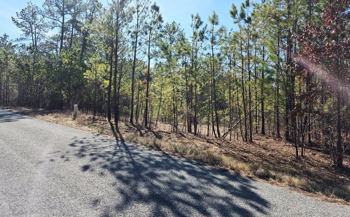 Pictures of Land, Multifamily property located at Allen Mill Bridge Rd, Camden, TN 38320 for sales - image #1