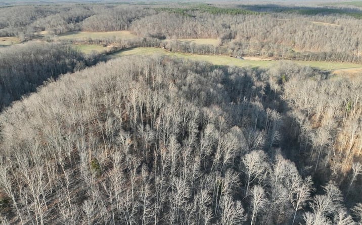 Pictures of Land, Multifamily property located at 1356 Upper Standing Rock Rd, Dover, TN 37058 for sales - image #1