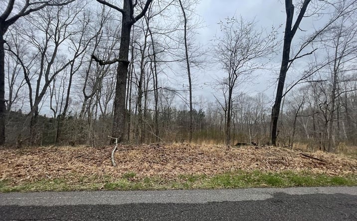 Pictures of Land, Multifamily property located at 1 Forest Trail, Bumpus Mills, TN 37028 for sales - image #1