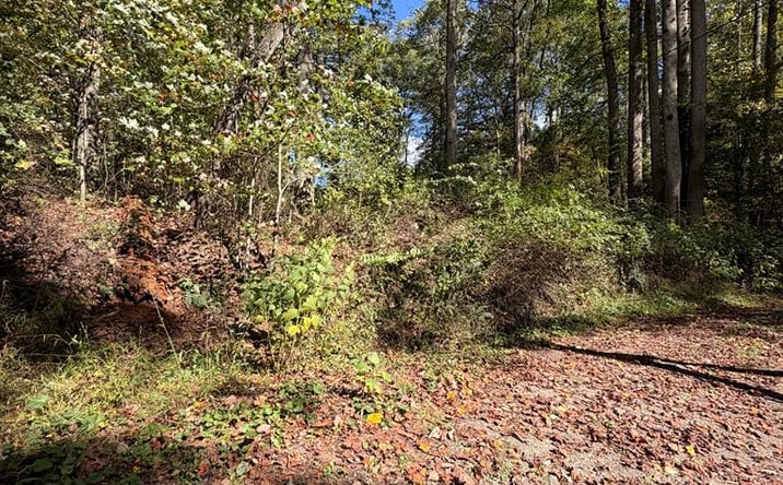 Pictures of Land, Multifamily property located at Orchard Hill Rd, Beaver, WV 25813 for sales - image #1
