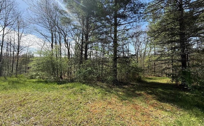 Pictures of Land, Multifamily property located at 91 Hart, Beckley, WV 25801 for sales - image #1