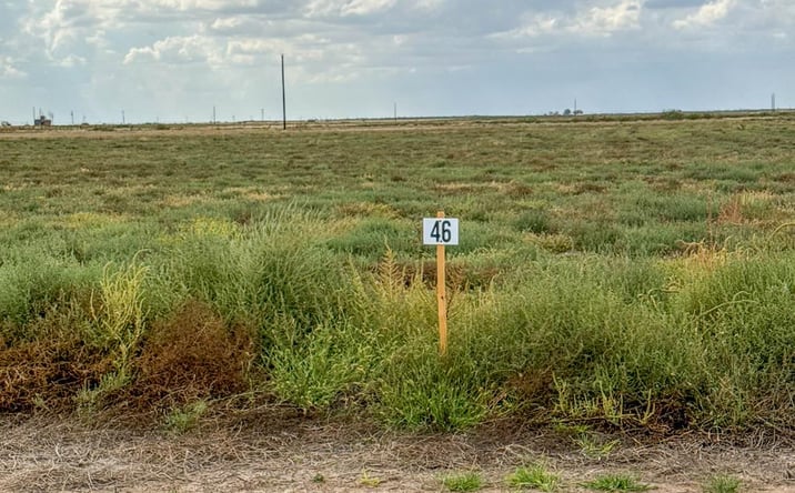 Pictures of Land, Multifamily property located at TBD BLUE QUAIL RUN LOT 46, Seminole, TX 79360 for sales - image #1