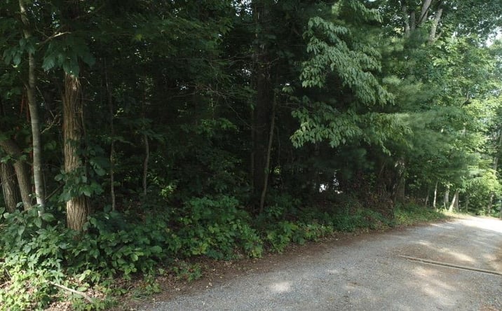 Pictures of Land, Multifamily property located at TBA Webb Dr, Abingdon, VA 24211 for sales - image #1