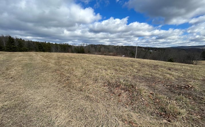 Pictures of Land, Multifamily property located at 6.86 ac Meadow View Lane, Max Meadows, VA 24360 for sales - image #1