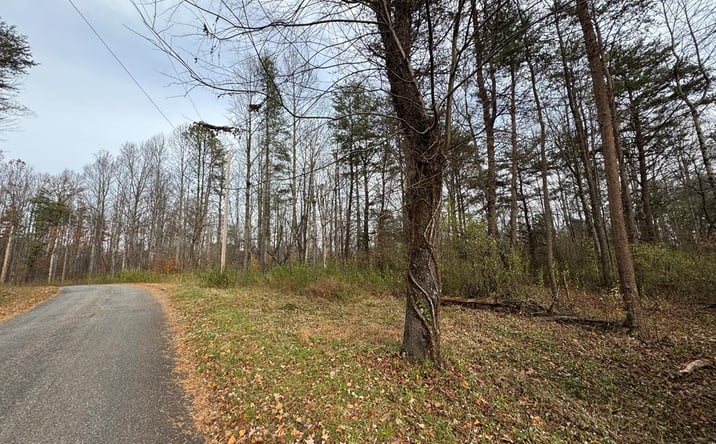 Pictures of Land, Multifamily property located at Pine Knoll Farms Loop, Stuart, VA 24171 for sales - image #1