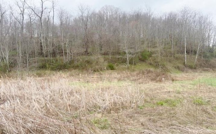 Pictures of Land, Multifamily property located at TBD Rural Retreat Lake Rd., Rural Retreat, VA 24368 for sales - image #1