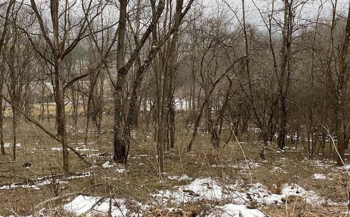 Pictures of Land, Multifamily property located at TBD Ridgecrest Drive, North Tazewell, VA 24630 for sales - image #1