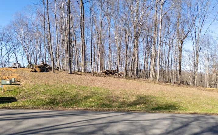 Pictures of Land, Multifamily property located at TBD Clifton Ridge Rd., Abingdon, VA 24210 for sales - image #1