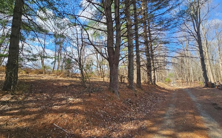 Pictures of Land, Multifamily property located at TBD Fries Rd, Galax, VA 24333 for sales - image #1