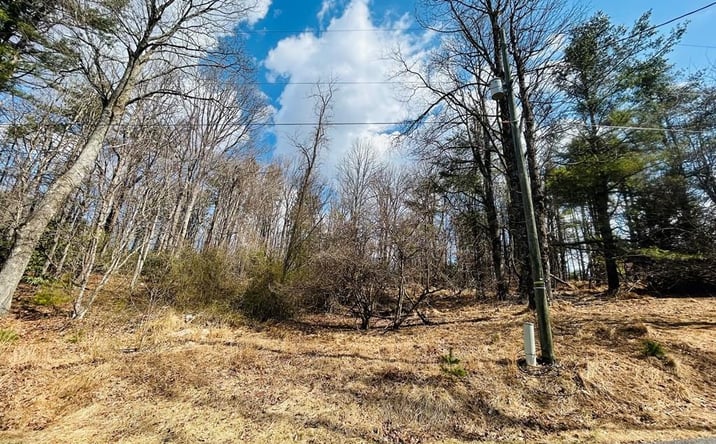 Pictures of Land, Multifamily property located at TBD Old Hollow Trail, Fancy Gap, VA 24328 for sales - image #1