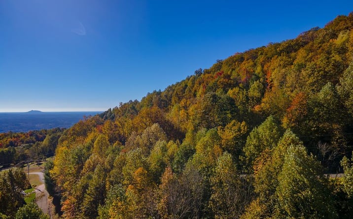 Pictures of Land, Multifamily property located at Lot 5 Starry Nights Dr, Fancy Gap, VA 24328 for sales - image #1