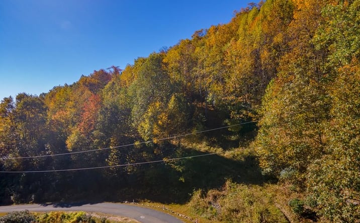 Pictures of Land, Multifamily property located at 3 Lots Starry Nights Dr, Fancy Gap, VA 24328 for sales - image #1