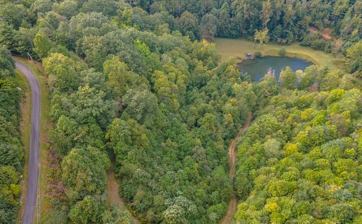 Pictures of Land, Multifamily property located at Lot 21 Starry Nights Dr, Fancy Gap, VA 24328 for sales - image #1