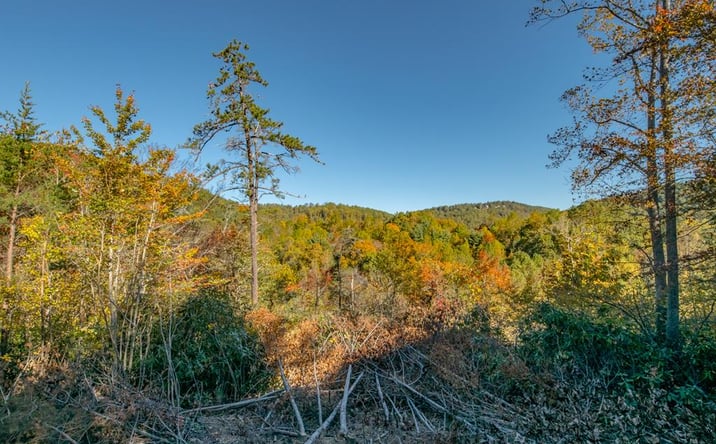 Pictures of Land, Multifamily property located at Lot 22 Starry Nights Dr, Fancy Gap, VA 24328 for sales - image #1
