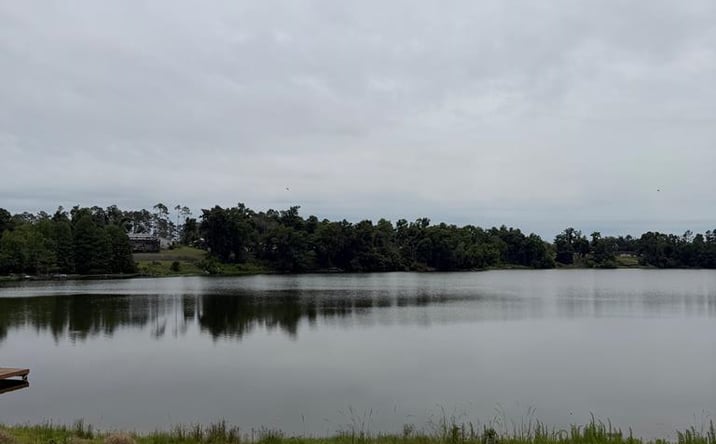 Pictures of Land property located at Lot 12 Hammock Trail, Lake Park, GA 31636 for sales - image #1