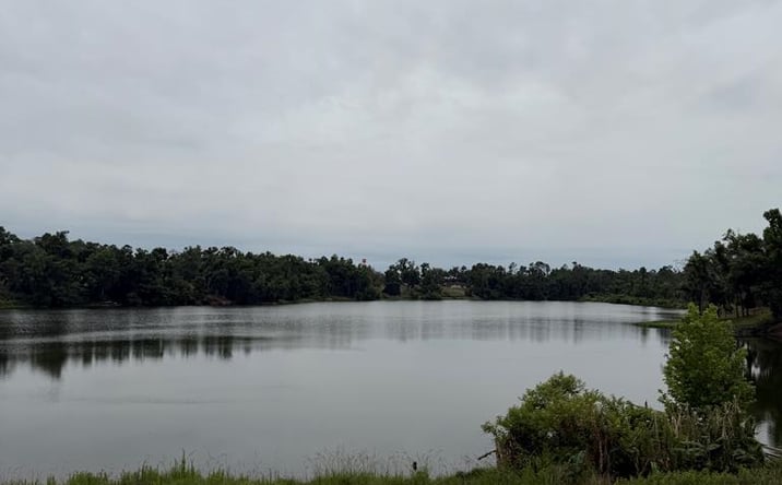 Pictures of Land property located at 5008 Hammock Trail, Lake Park, GA 31636 for sales - image #1