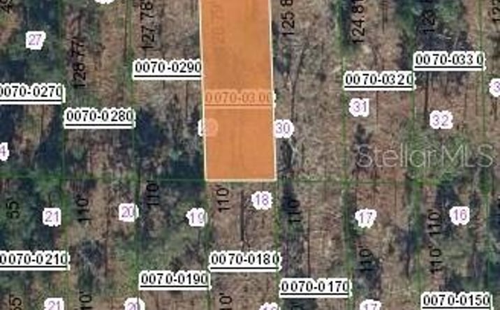 Pictures of Land, Multifamily property located at 129 W Virginia Street, Hawthorne, FL 32640 for sales - image #1