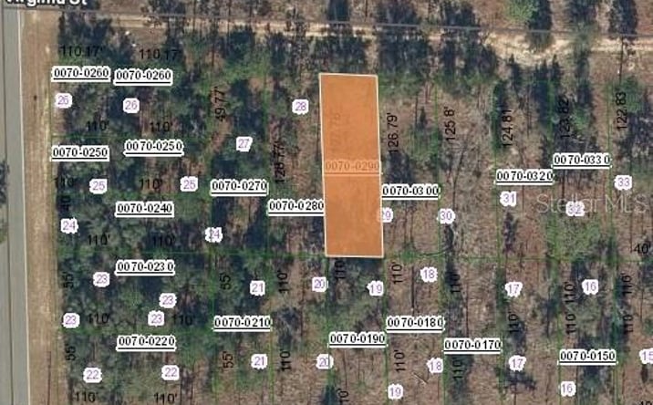 Pictures of Land, Multifamily property located at 131 W Virginia Street, Hawthorne, FL 32640 for sales - image #1