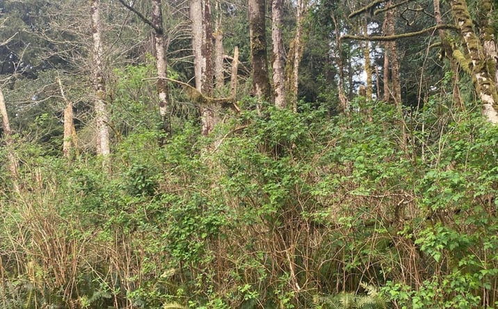 Pictures of Land, Multifamily property located at TL 1000 SE 54th Drive, Lincoln City, OR 97367 for sales - image #1