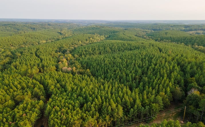 Pictures of Land property located at 538 Seiber Ridge Road, Hohenwald, TN 38462 for sales - image #1