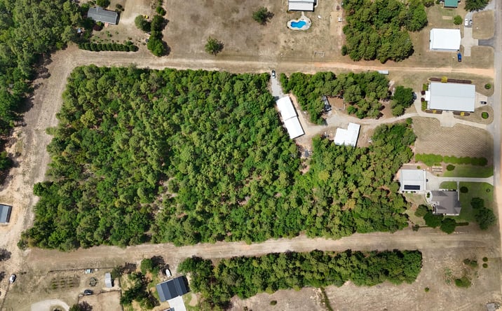 Pictures of Land, Mixed Use property located at 8.5 Acres Lucky Street, Trenton, SC 29847 for sales - image #1