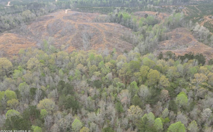 Pictures of Land property located at Road 814, Carthage, MS 39051 for sales - image #1