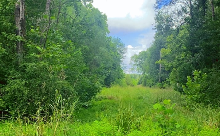 Pictures of Land property located at Rd 2434, Philadelphia, MS 39301 for sales - image #1