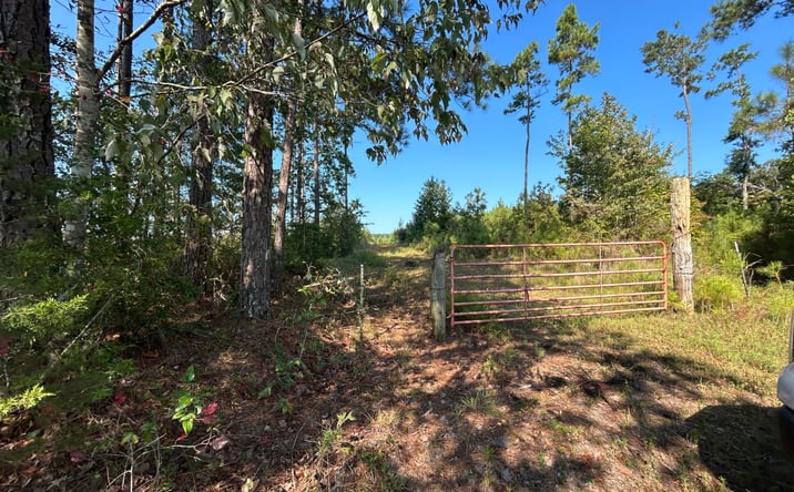 Pictures of Land property located at Road 2808, Philadelphia, MS 39350 for sales - image #1