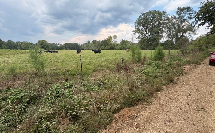 Pictures of Land property located at Road 224 and 111, Union, MS 39365 for sales - image #1