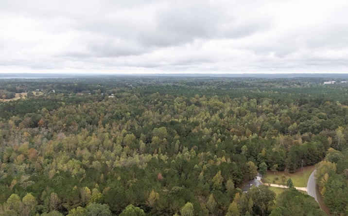 Pictures of Land property located at Gipson Road, Collinsville, MS 39325 for sales - image #1