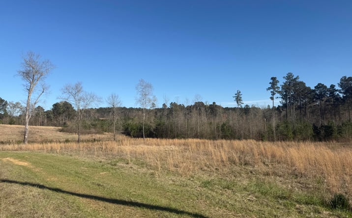Pictures of Land property located at Highway 19 S, Union, MS 39365 for sales - image #1