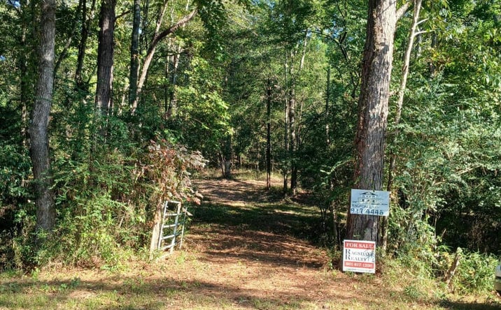 Pictures of Land property located at Mosley Crossing Rd, Collinsville, MS 39325 for sales - image #1