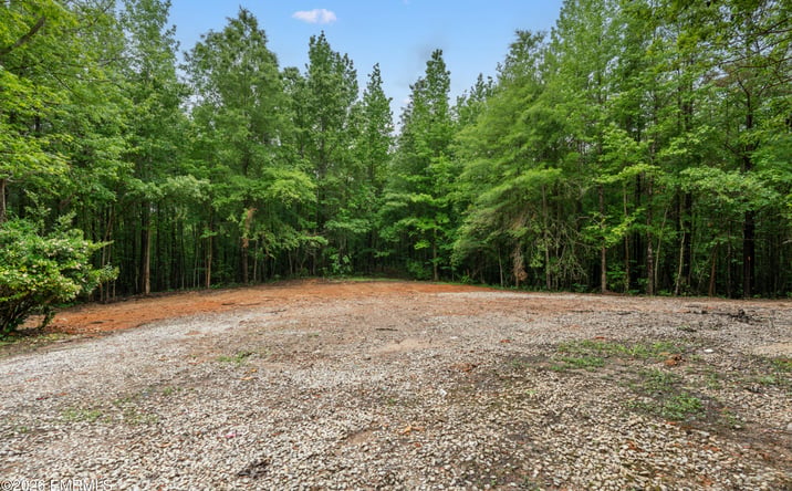 Pictures of Land property located at 11834 Nutt Road, Collinsville, MS 39325 for sales - image #1
