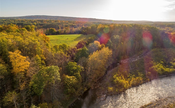 Pictures of Land property located at 8207 Route 32, Cairo, NY 12413 for sales - image #1