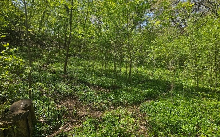Pictures of Land, Multifamily property located at 38581 N Hillandale Drive, Spring Grove, IL 60081 for sales - image #1