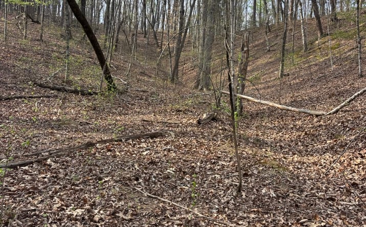 Pictures of Mixed Use, Land property located at 408 Back Valley Road, Sale Creek, TN 37373 for sales - image #1