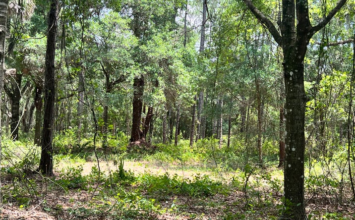 Pictures of Land property located at 3575 South Street, Titusville, FL 32780 for sales - image #1