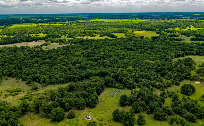 Pictures of Mixed Use, Land property located at County Road 302, Rockdale, TX 76567 for sales - image #1