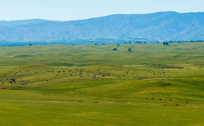 Pictures of Land property located at 00 Rancho Tehama Road, Red Bluff, CA 96021 for sales - image #1