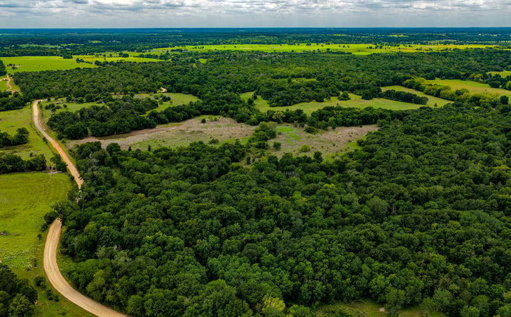 Pictures of Mixed Use, Land property located at County Road 414, Lexington, TX 78947 for sales - image #1